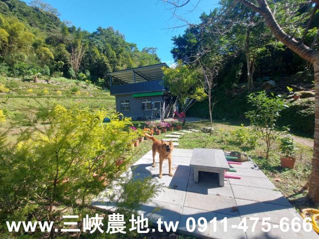 新北農地-10