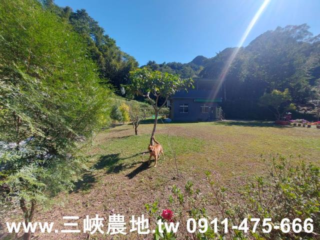 新北農地-11