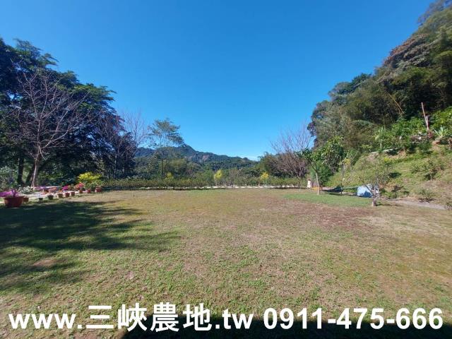 新北農地-2