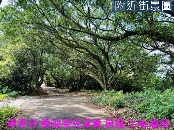 三芝農地-10