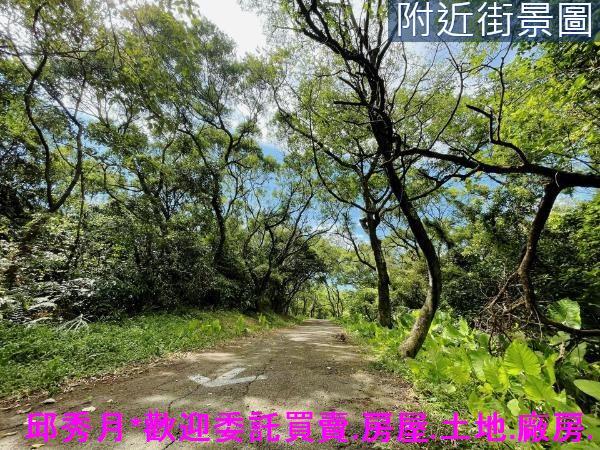 三芝農地-3