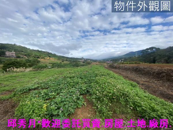 淡水農地-2