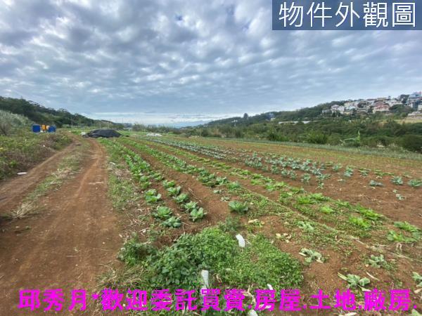淡水農地-5