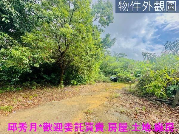 新北農地-1