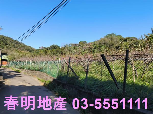 新竹新埔農地-10