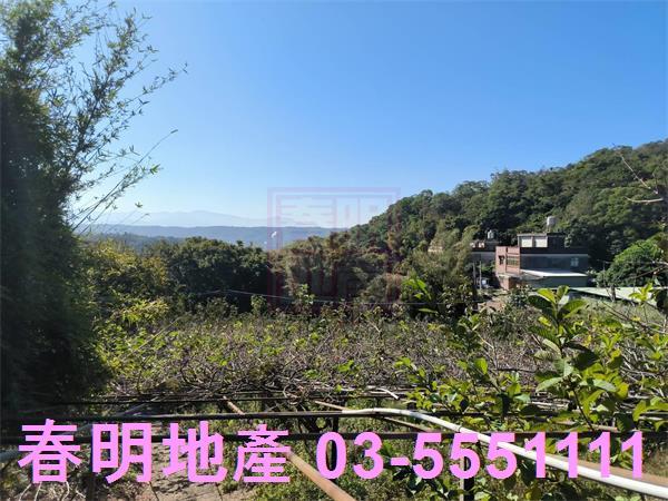新竹新埔農地-6