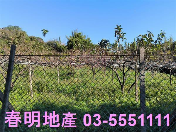 新竹新埔農地-9