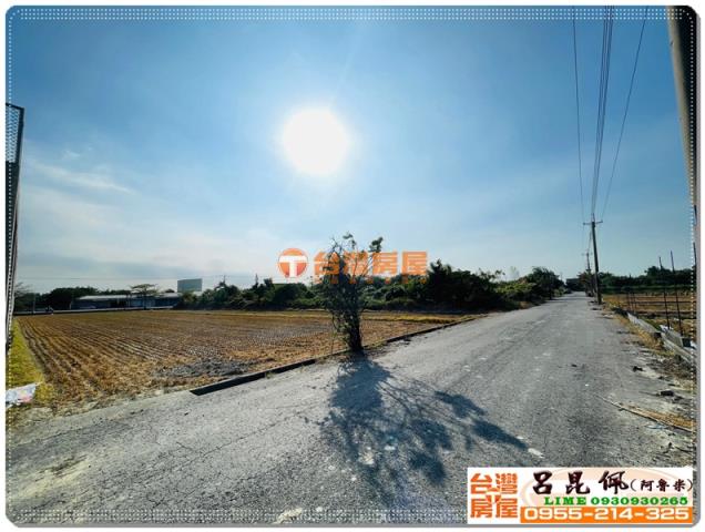 大林農地-5