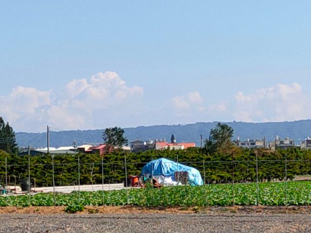 彰化農地-6
