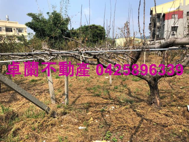 卓蘭農地-5