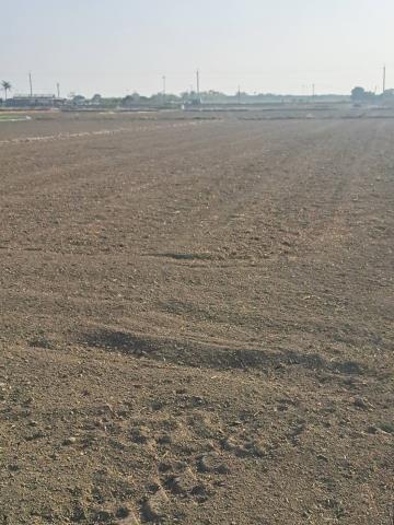 嘉義水上農地-3