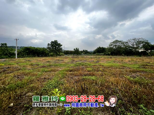 桃園龍潭農地-4