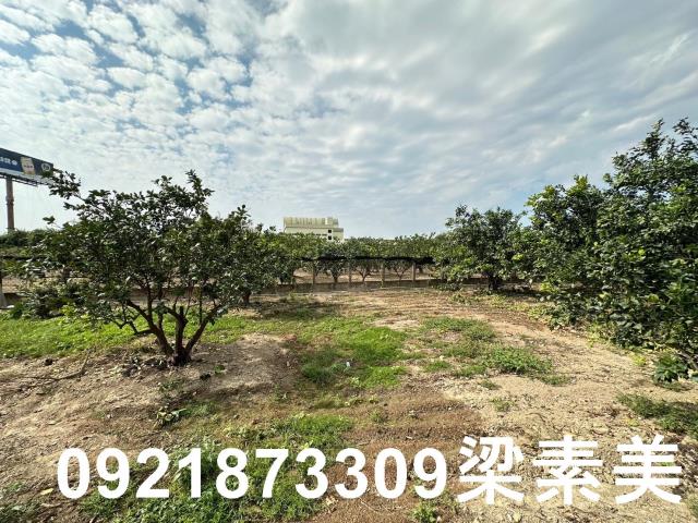 台南麻豆農地-10