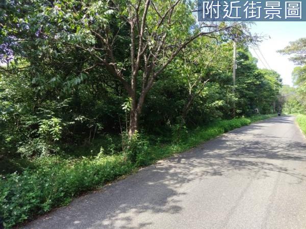 三芝農地-2