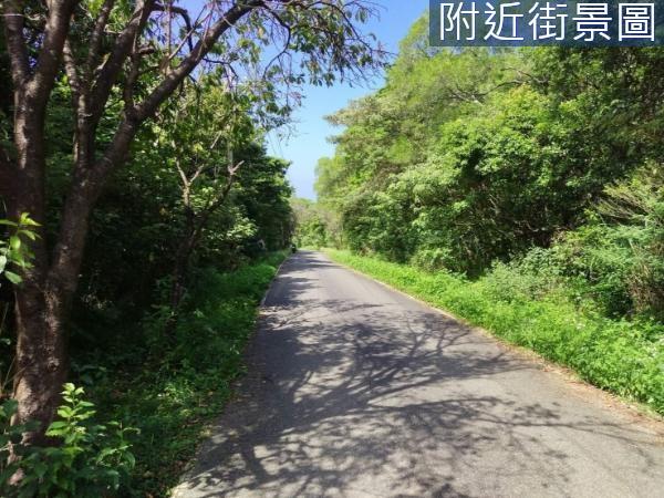 三芝農地-1