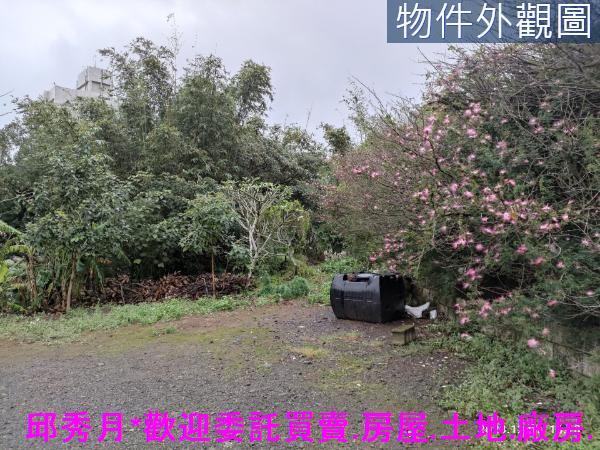 新北淡水農地-2