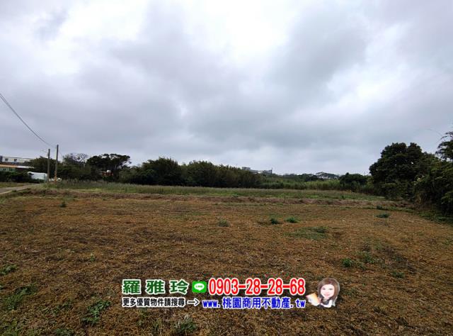 中壢農地-5