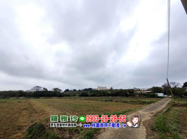 中壢農地-6