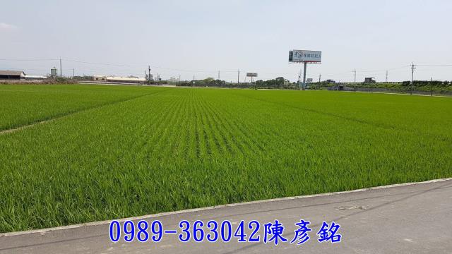 虎尾農地-1