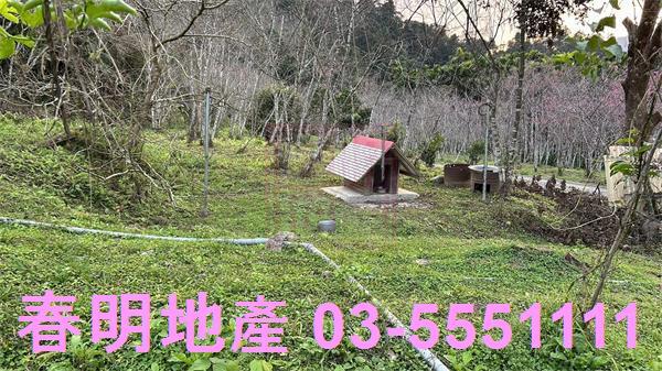 北埔農地-15