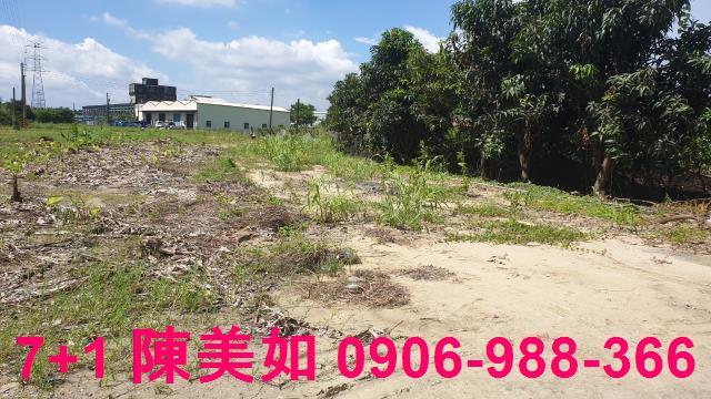 高雄大社農地-1