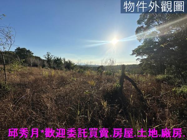 三芝農地-7