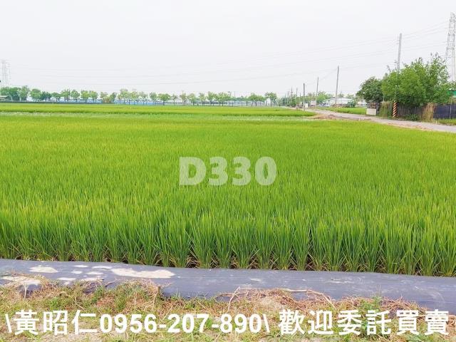 台南農地-7