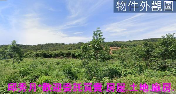 淡水農地-7