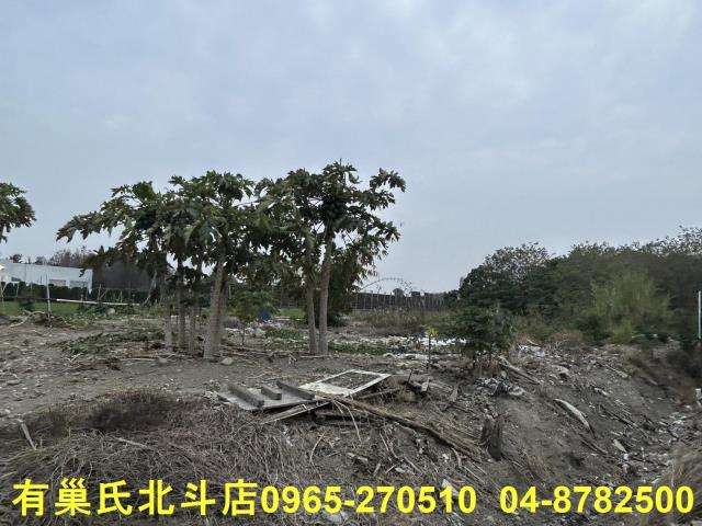 彰化埔心農地-3