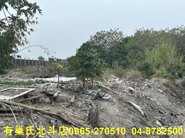 彰化埔心農地-4