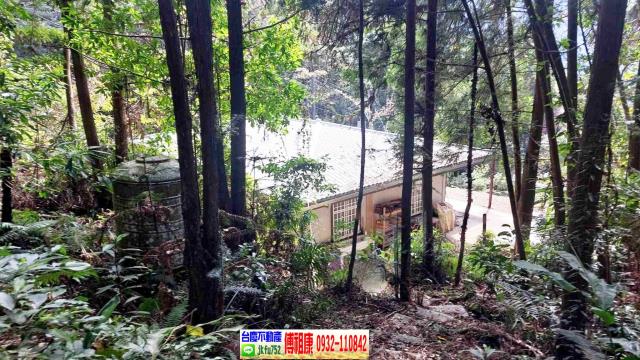 新竹橫山農地-5