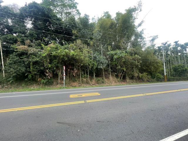 嘉義梅山農地-4