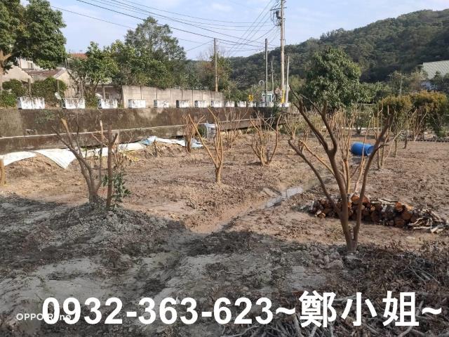 桃園蘆竹農地-4