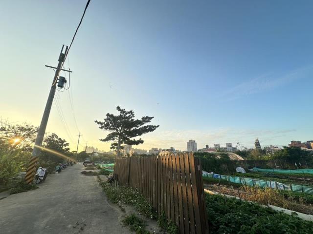 中壢農地-4