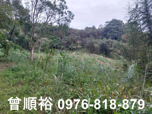 五峰農地-5