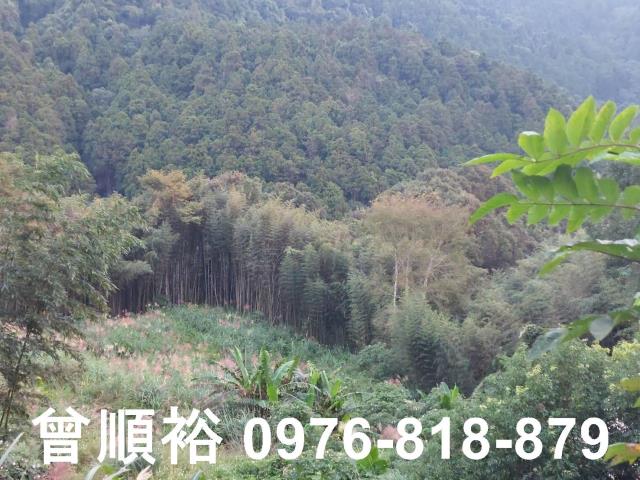 五峰農地-9