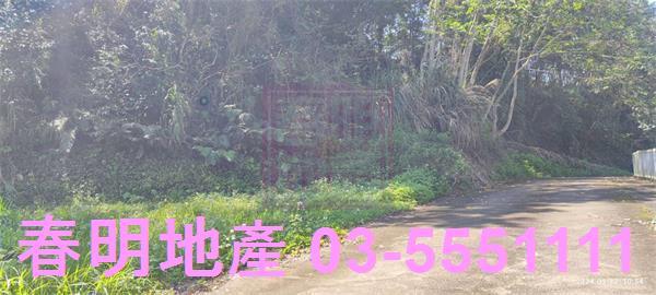 橫山農地-7