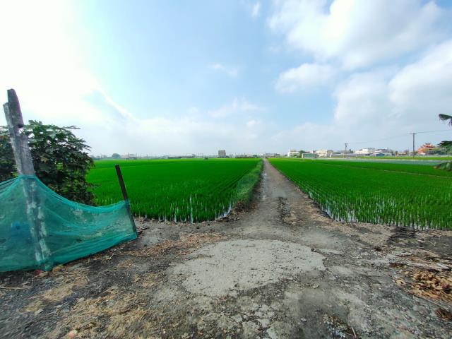 彰化二林農地-3