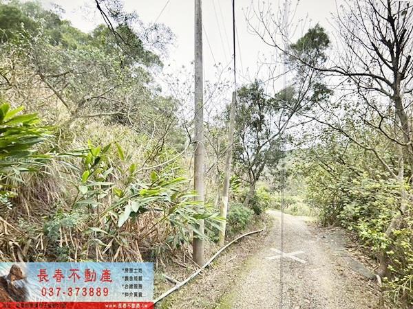 通霄農地-5