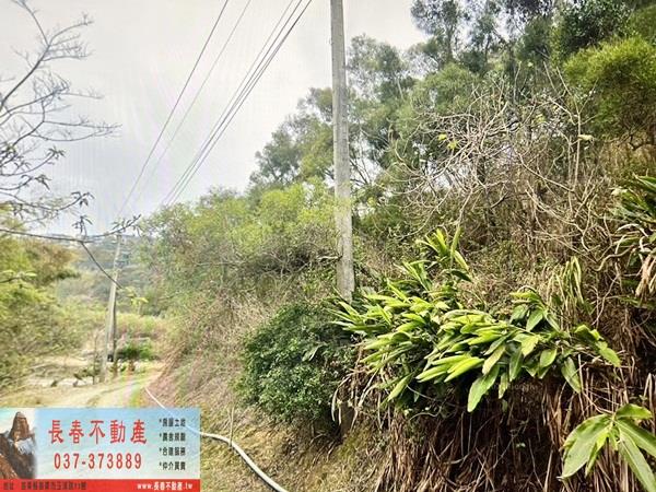 通霄農地-6