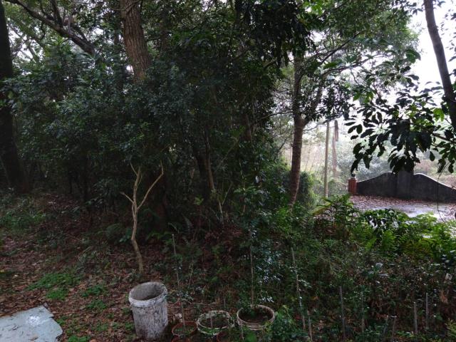 桃園農地-2
