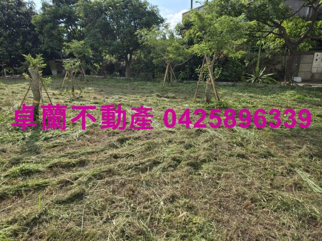 后里農地-5