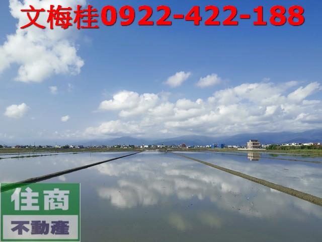 壯圍農地-2