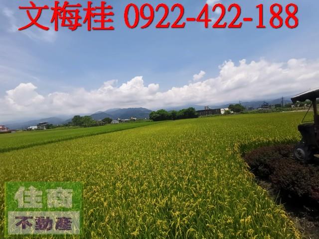 宜蘭農地-1