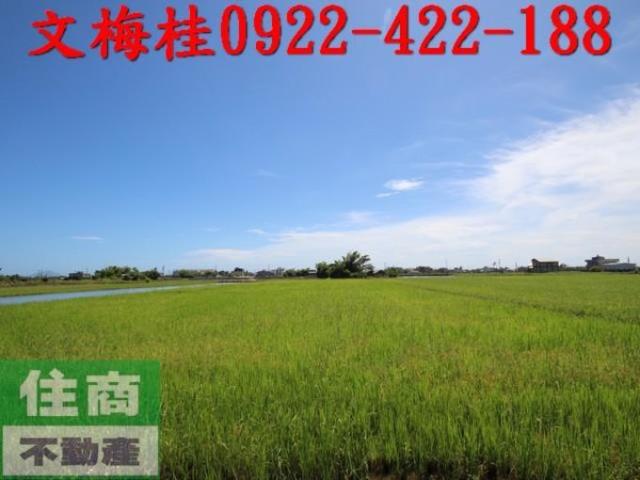 宜蘭礁溪農地-9