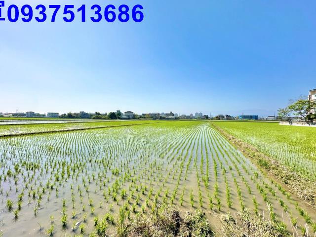 宜蘭農地-1