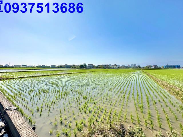 宜蘭農地-3