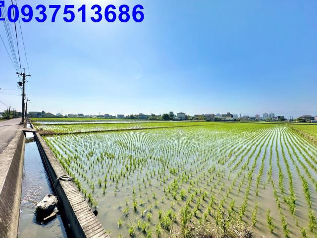 宜蘭農地-5