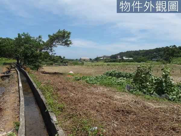 新北都市計畫土地-5