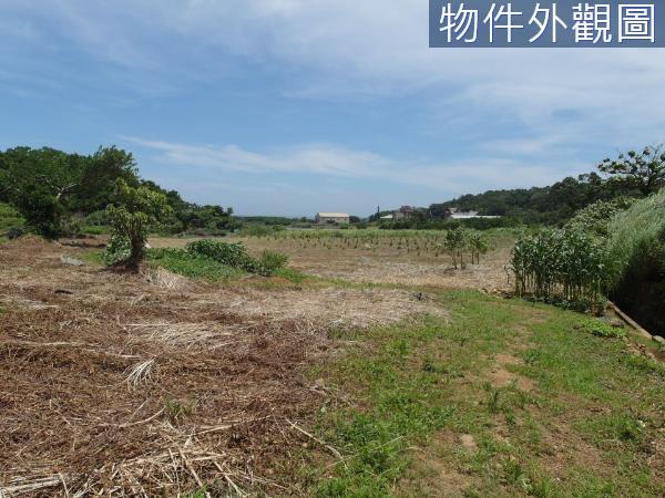 新北都市計畫土地-7